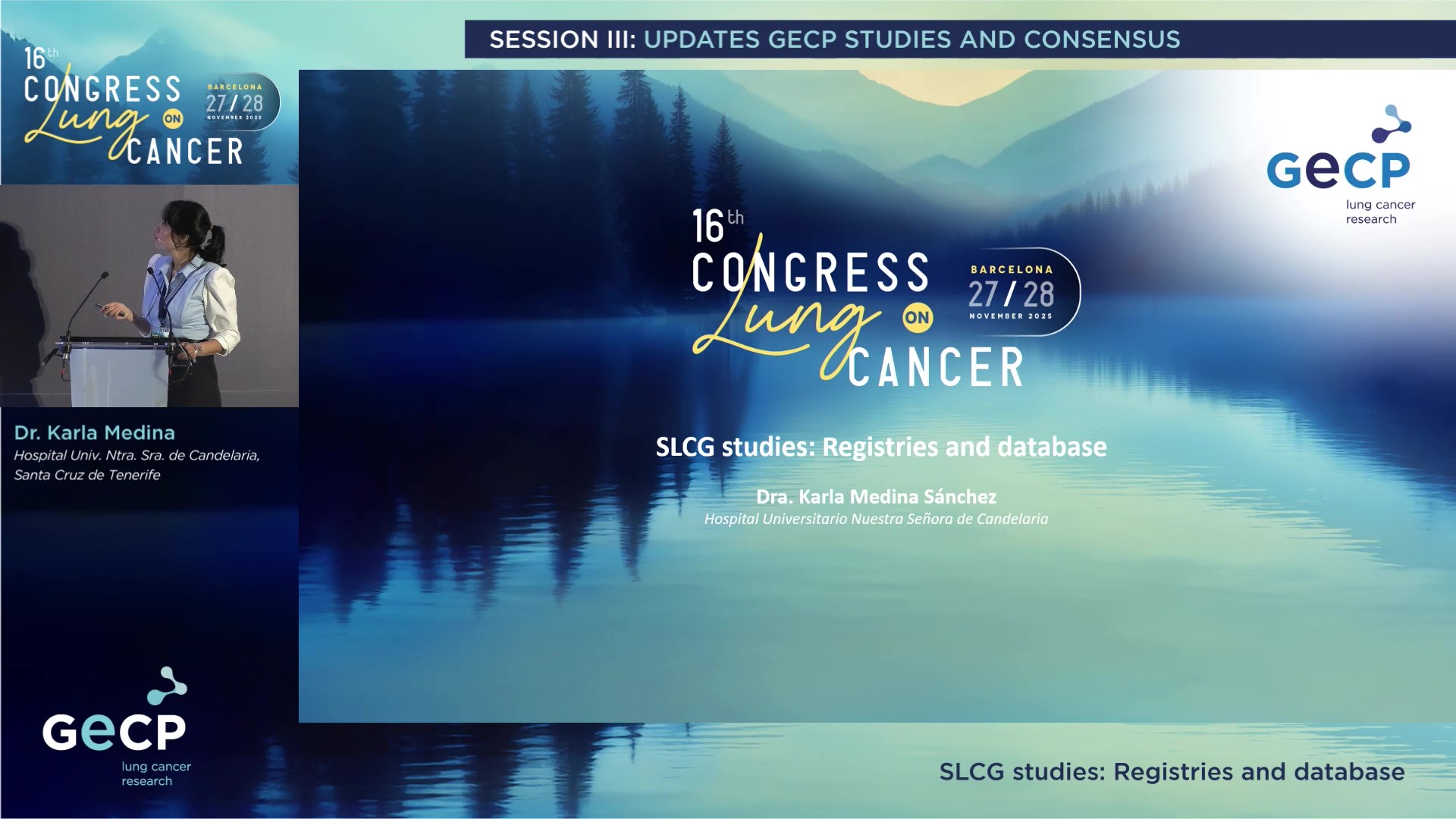 Long-term survivors in metastatic lung cancer consensus